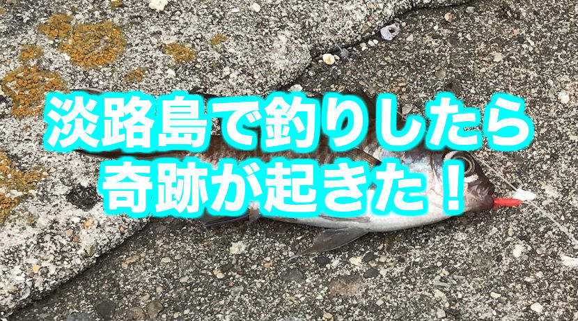 名古屋から淡路島に行ってルアー釣りとサビキ釣りをしたら奇跡がおこった 自分を変えるブログ