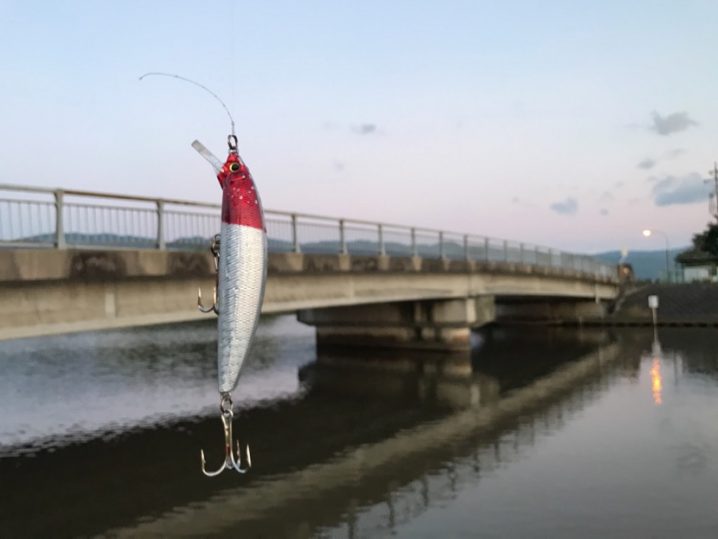 大江川 大榑川 こぎろ池でブラックバス釣りしてきた結果 ポイントやルアー釣り 自分を変えるブログ
